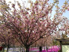 -南通濠河风景名胜区