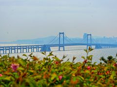 -星海湾跨海大桥