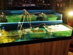 -福州泰禾铂尔曼酒店·大堂酒廊