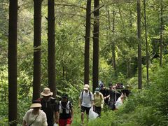 -午潮山国家森林公园