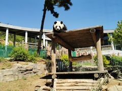 -大连森林动物园