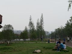 -九龙湖公园