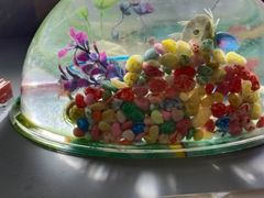 -云鱿记鱿鱼鸡·野生菌火锅(人民南路店)