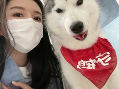-Husky Go!哈士奇体验馆·宠物咖啡厅狗咖