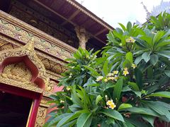 -西双版纳总佛寺