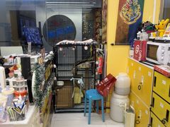 -谜盒子奇幻密室(南屏店)