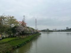 -顺峰山公园