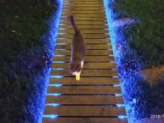 -雪茄客PURAVIDA俱乐部(上海店)