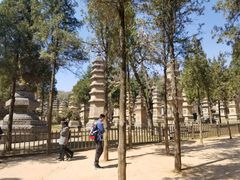 -嵩山少林文化旅游景区