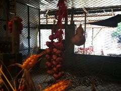 -横沥牛庄(总店)