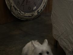 -绿房子方寸咖啡(星海名城店)