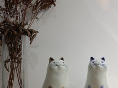 -猫里有甜