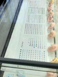 -众刺纹画·纹身·穿孔饰品·海娜定制