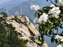 -华山风景名胜区