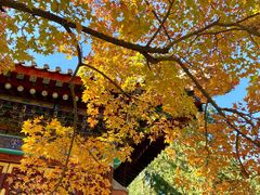 -香山公园