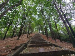 -火炉山森林公园