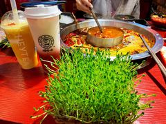 生态豌豆苗-谭鸭血老火锅(漳州路店)