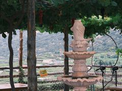 -大泽山风景名胜区