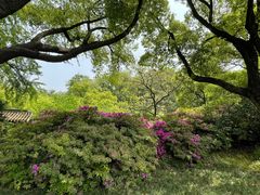 -惠山古镇·寄畅园