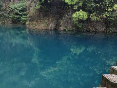 -大奇山国家森林公园