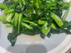 -鸽子窝(青塔店)