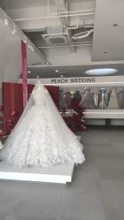 -桃子造型婚纱礼服(凤起广场店)