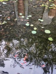 -爱丽馨御景月子中心