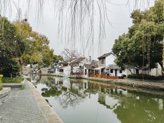 -西塘人家•黑金冠本地好店