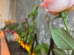 -Laures·月桂西班牙碳烤餐厅(十尚坊店)