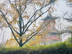 -四川大学(华西校区)