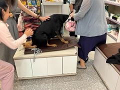 -宠物家(角门东店)