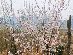 -南翠屏公园