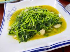 -杨辉饭店