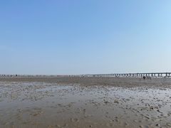 -南汇新城海滩
