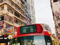 -富豪雪糕车流动点(尖沙咀店)