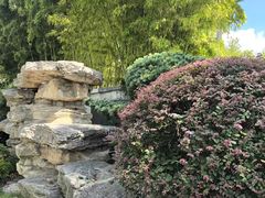 -苏苑饭店-中餐厅(长桥地区店)