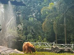 -海南热带野生动植物园