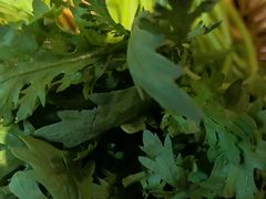 -老员外骨汤火锅(海州古城店)