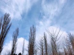 -富士山吉田線五合目