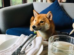 -the rug 飞毯 (朝阳公园店)