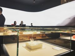 -BLACKSWAN黑天鹅(环球店)