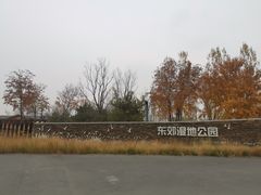 -东郊湿地公园