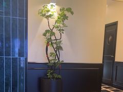 -涟LIAN·泰式按摩·MASSAGE·SPA(深业上城店)