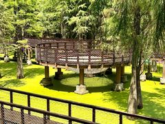 -青山湖景区