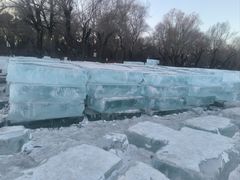 -长春市南湖公园