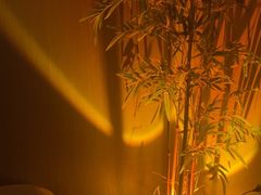 -宁采臣Sleep·采耳·SPA放松馆(湖里万达店)