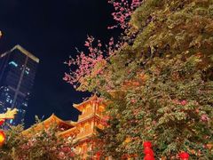 -越秀西湖花市(广州城市广场花卉店)