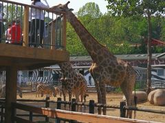 -大连森林动物园