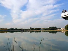 -大兴滨河森林公园