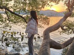 -东湖落雁景区